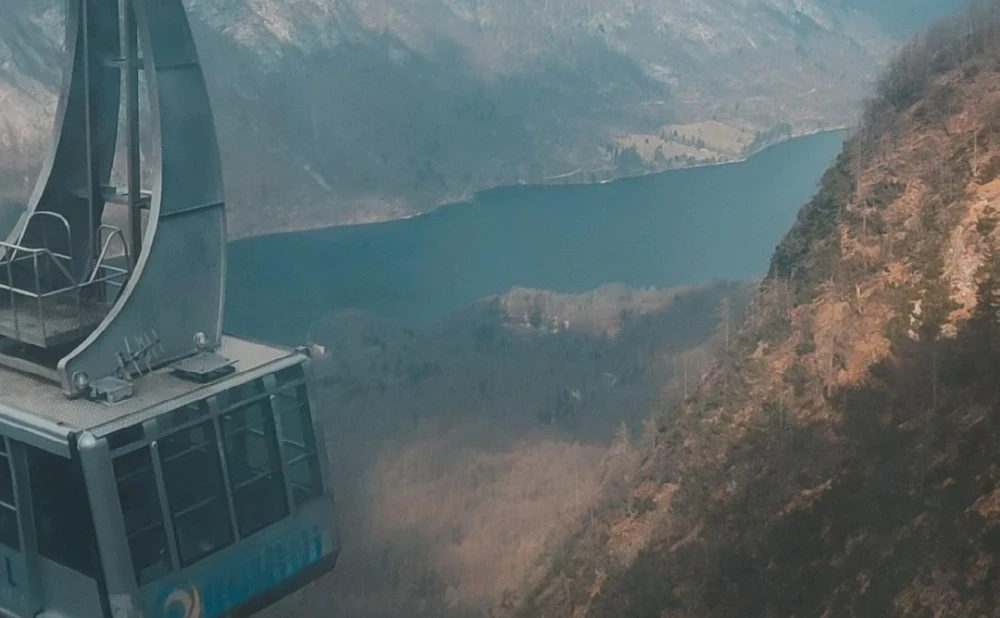 49-IMG_20240316_141517_275